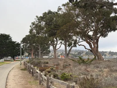 Monterey, United States — 24 October 2025