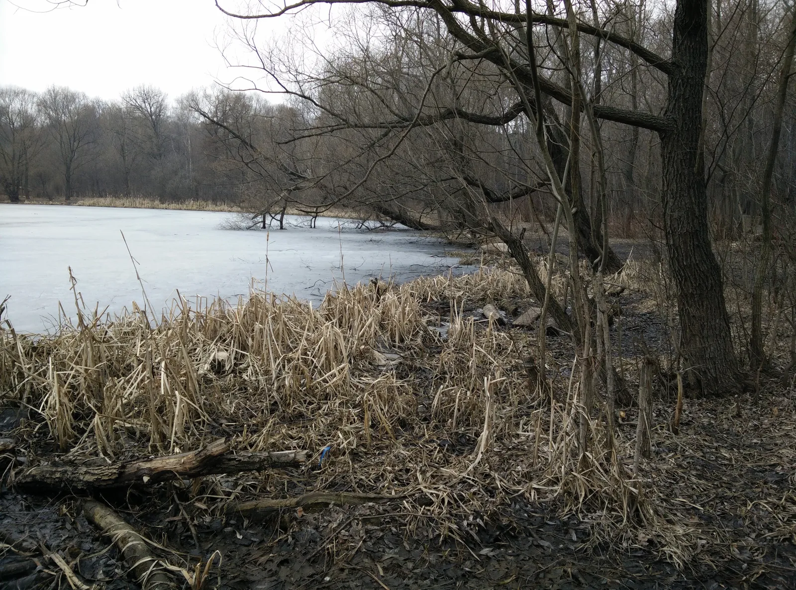 Photo from 21 March 2015