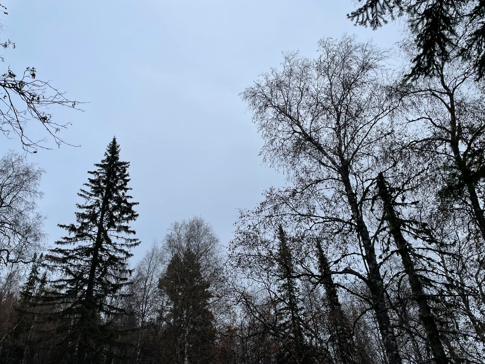 Trëkhgornyy, Russia — 16 October 2021