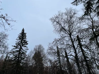 Trëkhgornyy, Russia — 16 October 2021