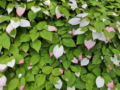 Photo from 15 June 2019