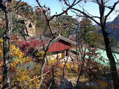 Sokcho, South Korea — 19 October 2016