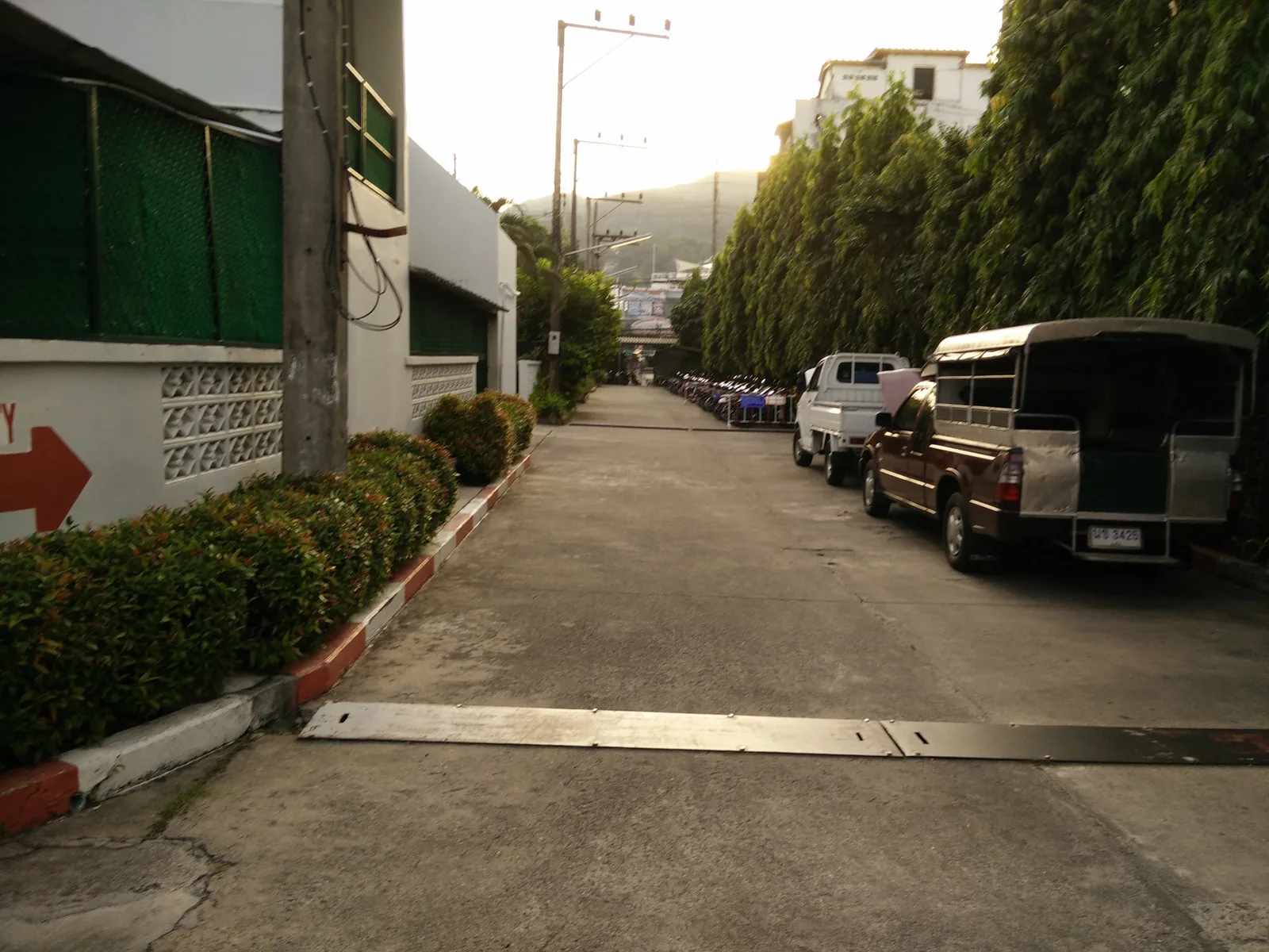 Photo from 2 February 2016