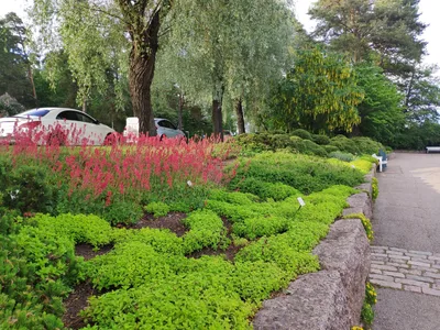Photo from 15 June 2019