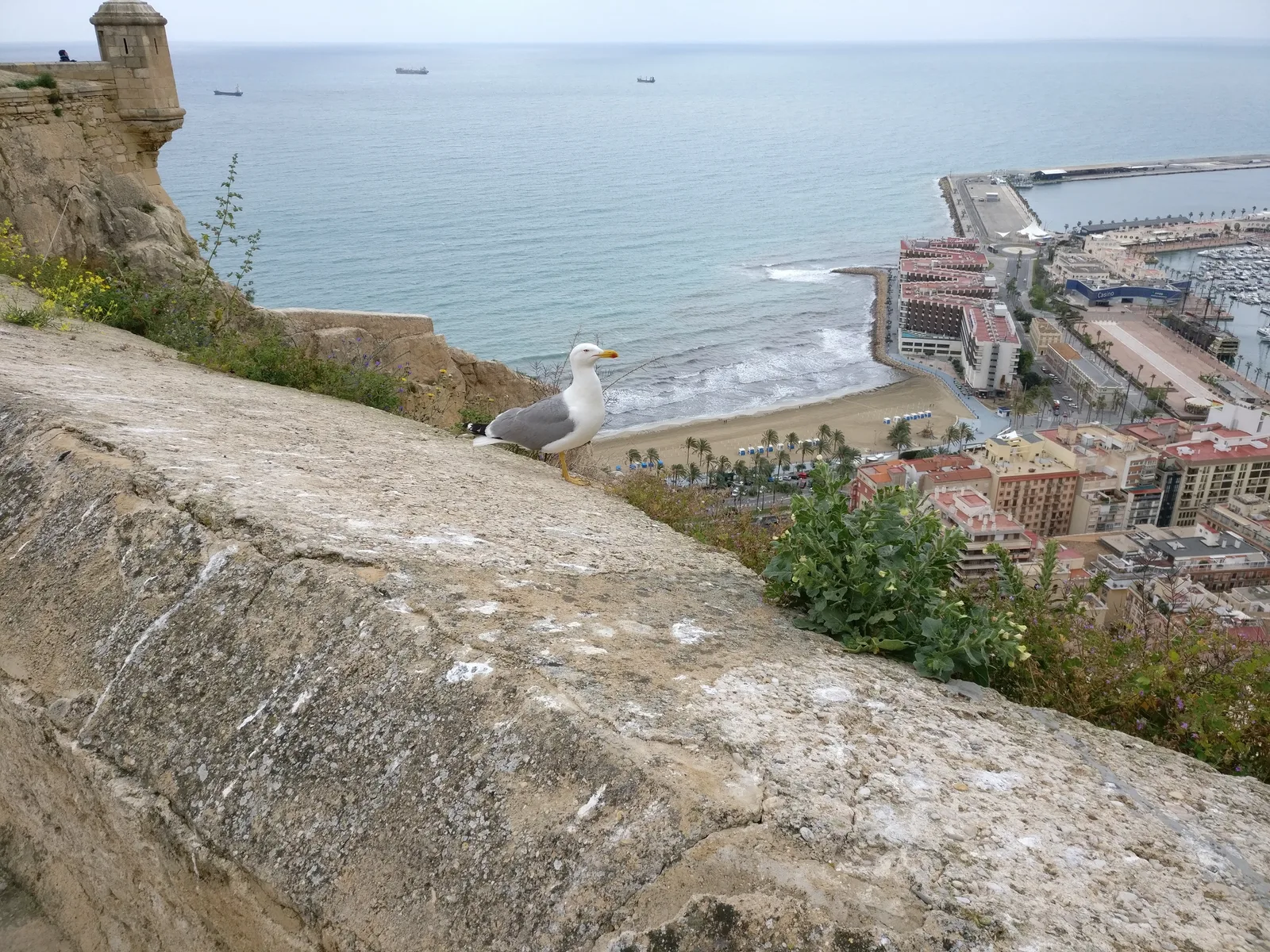 Alicante, Spain — 28 April 2017