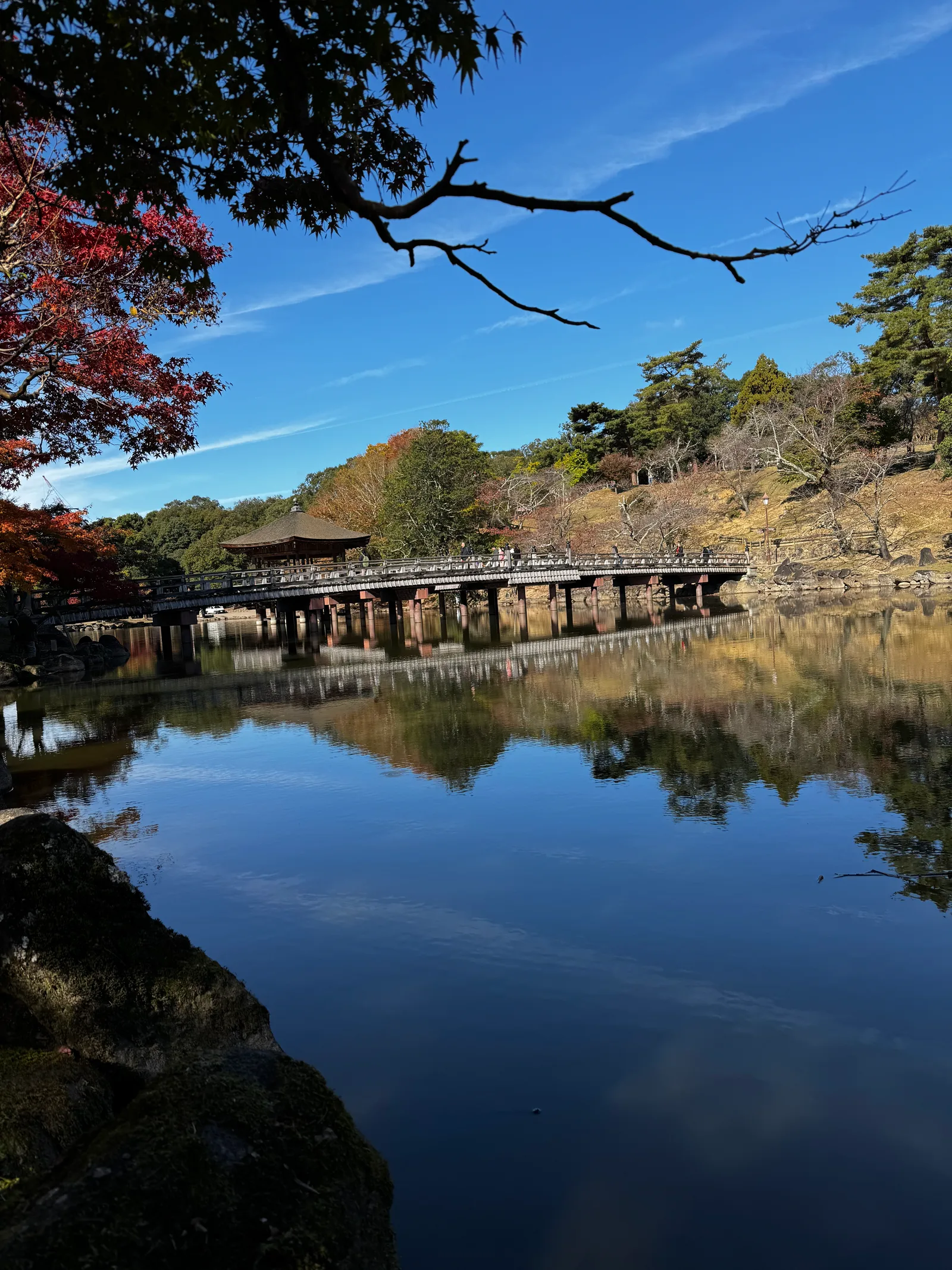 Nara-shi, Japan — 25 November 2024