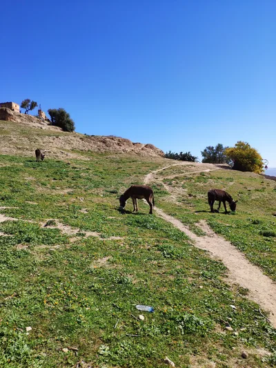 Photo from 14 March 2019