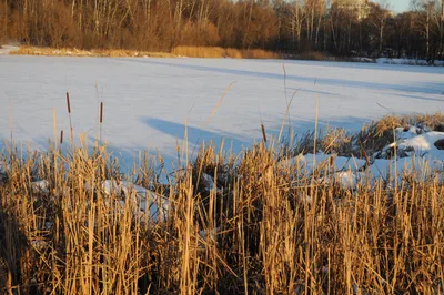 Photo from 15 December 2013