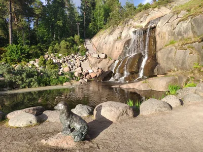 Photo from 15 June 2019