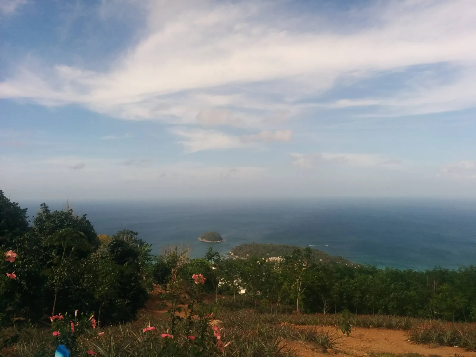 Photo from 3 February 2016