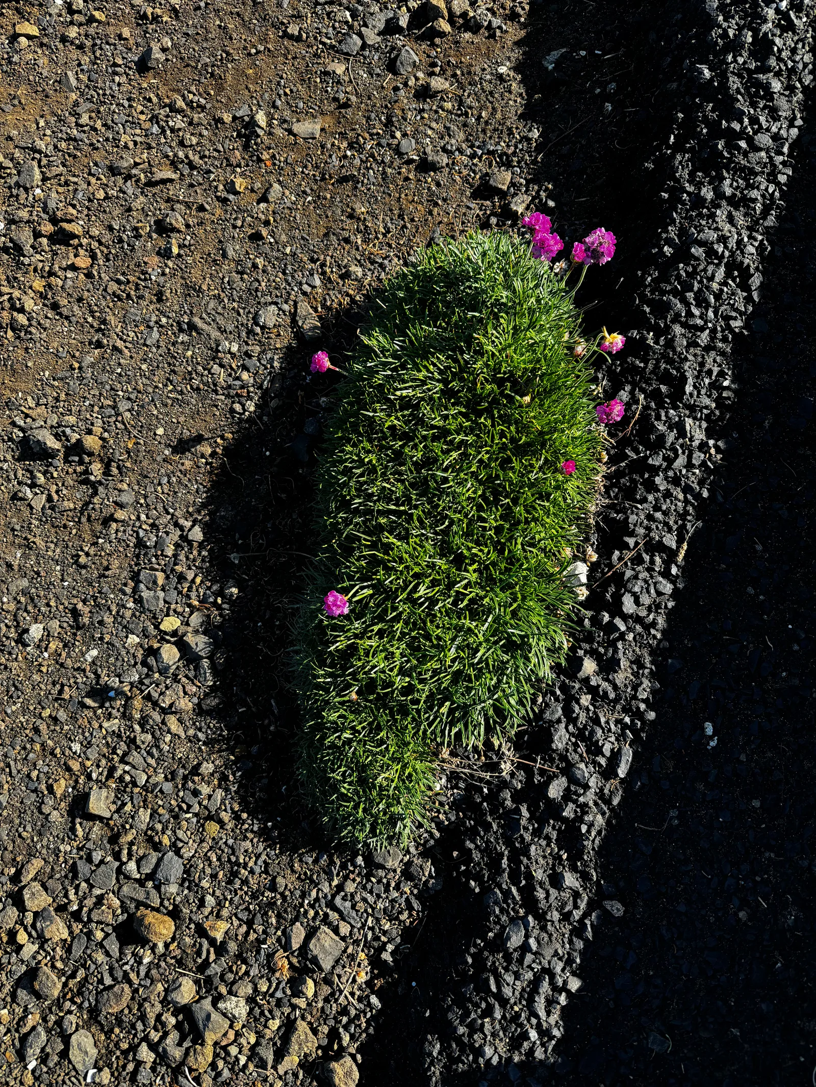 Waldport, United States — 26 August 2024