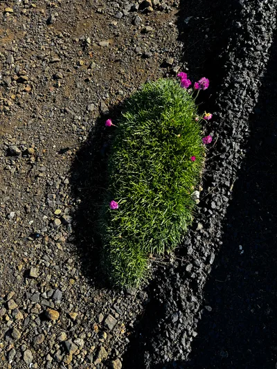 Waldport, United States — 26 August 2024