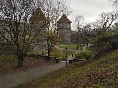 Tallinn, Estonia — 5 November 2018