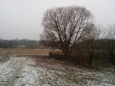 Photo from 6 December 2014