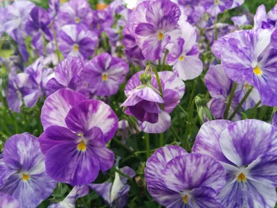 Photo from 23 May 2015