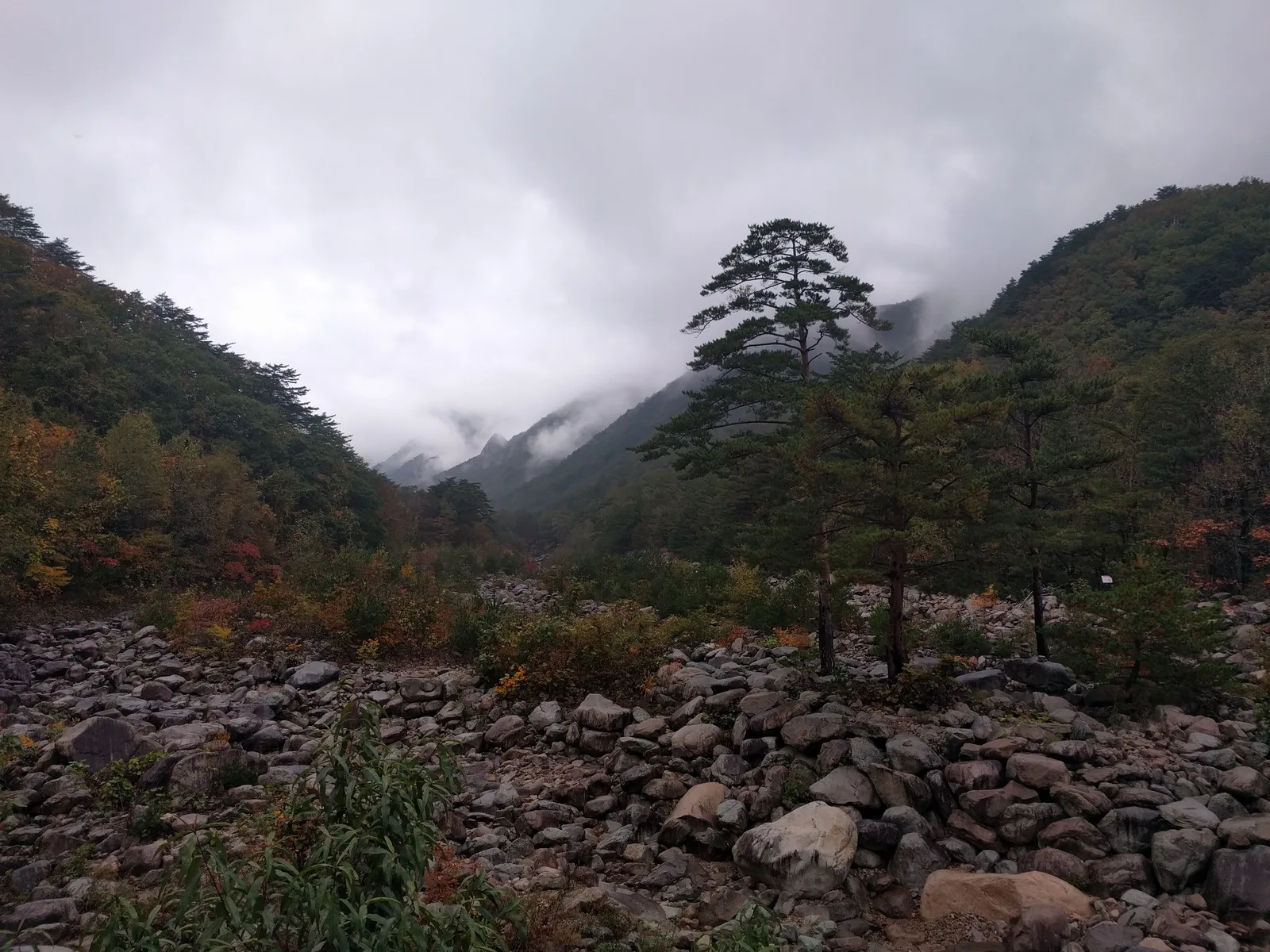 Sokcho, South Korea — 21 October 2016