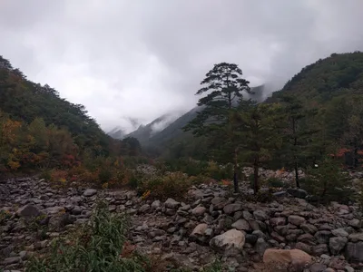 Sokcho, South Korea — 21 October 2016