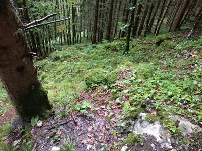 Maurach, Austria — 17 September 2017