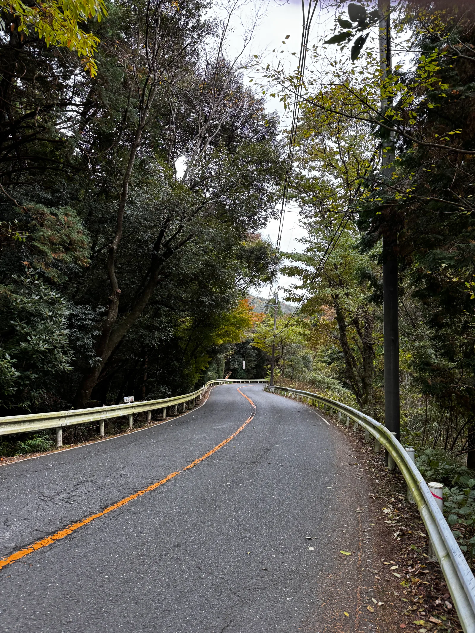 Minoh, Japan — 26 November 2024