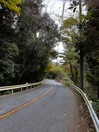 Minoh, Japan — 26 November 2024