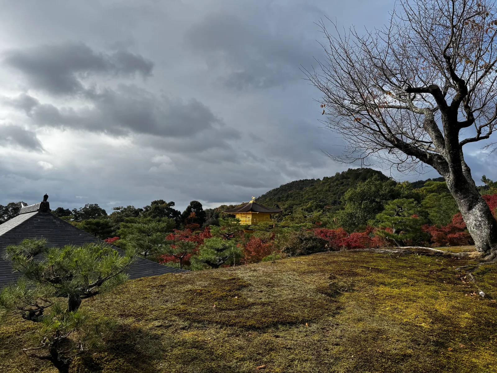 Kamigyō-ku, Japan — 24 November 2024