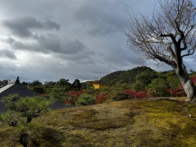 Kamigyō-ku, Japan — 24 November 2024