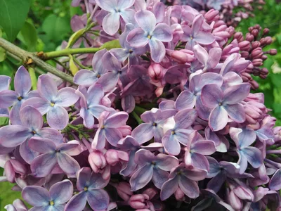 Photo from 23 May 2015