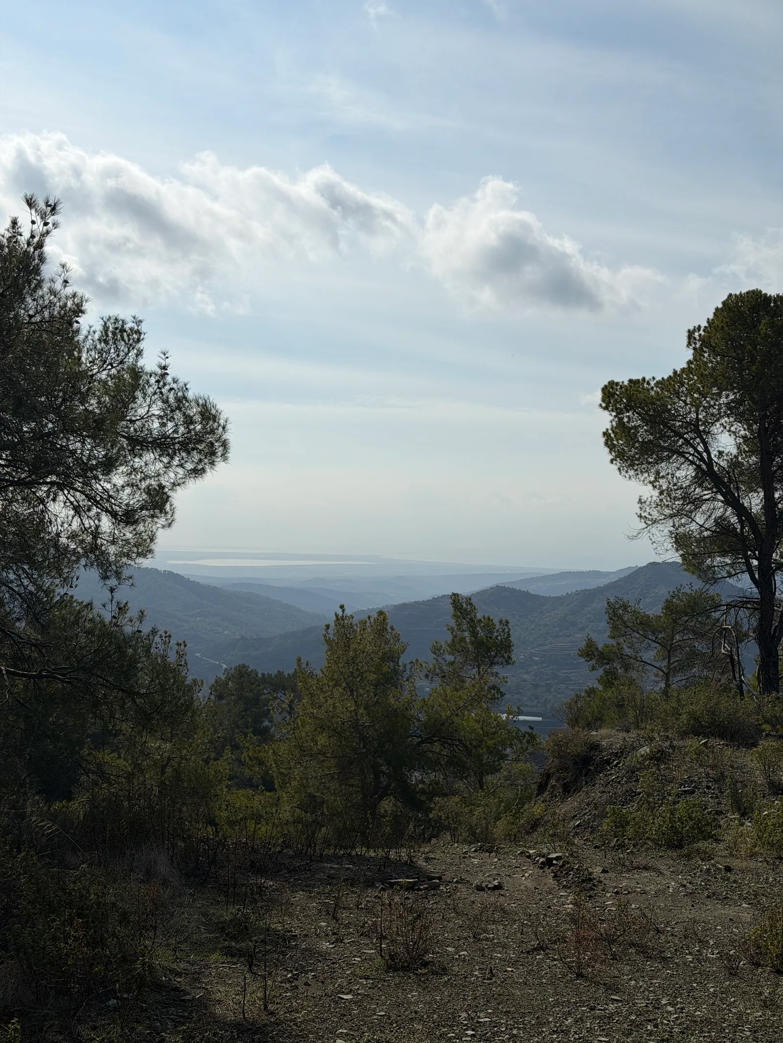 Peléndri, Cyprus — 1 January 2026