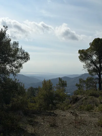 Peléndri, Cyprus — 1 January 2026