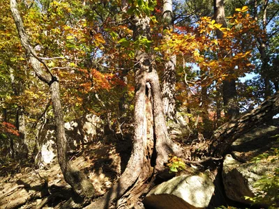 Sokcho, South Korea — 19 October 2016