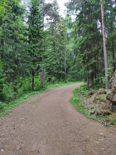 Photo from 17 June 2019