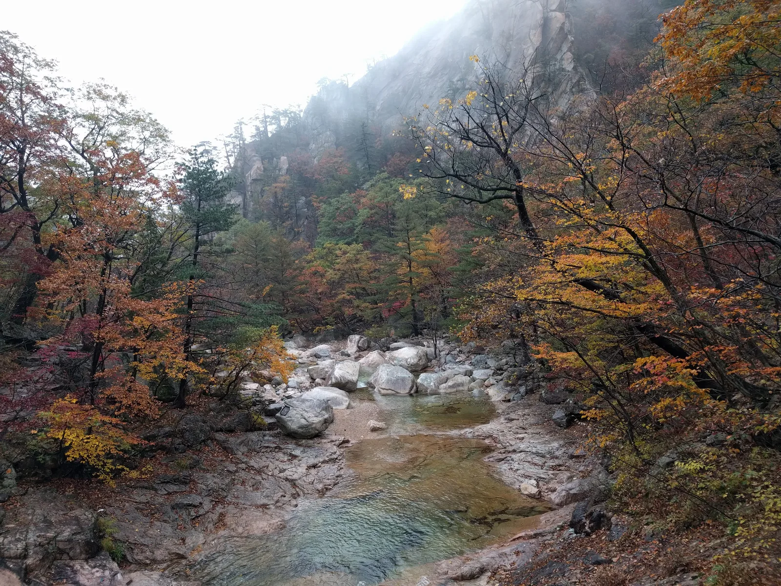 Sokcho, South Korea — 21 October 2016