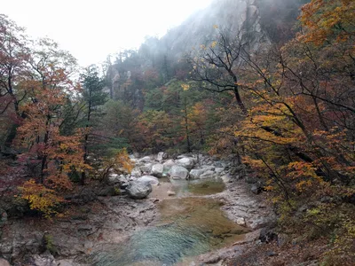 Sokcho, South Korea — 21 October 2016