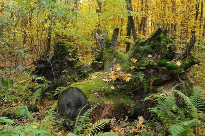 Photo from 8 October 2011