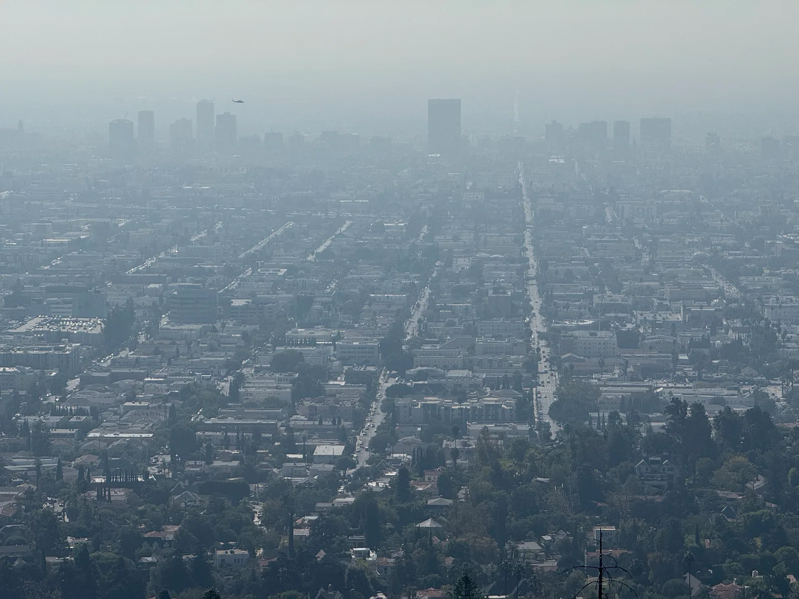 Hollywood, United States — 31 October 2025