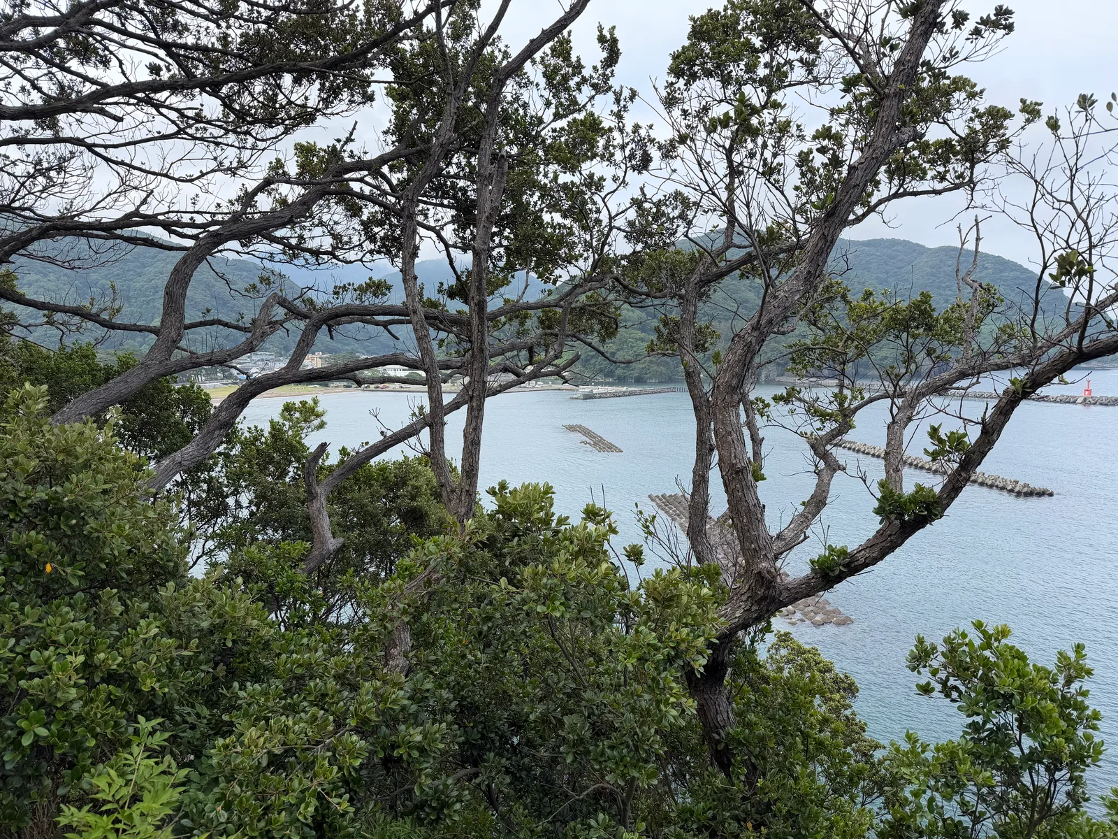 Matsuzaki, Japan — 19 June 2026