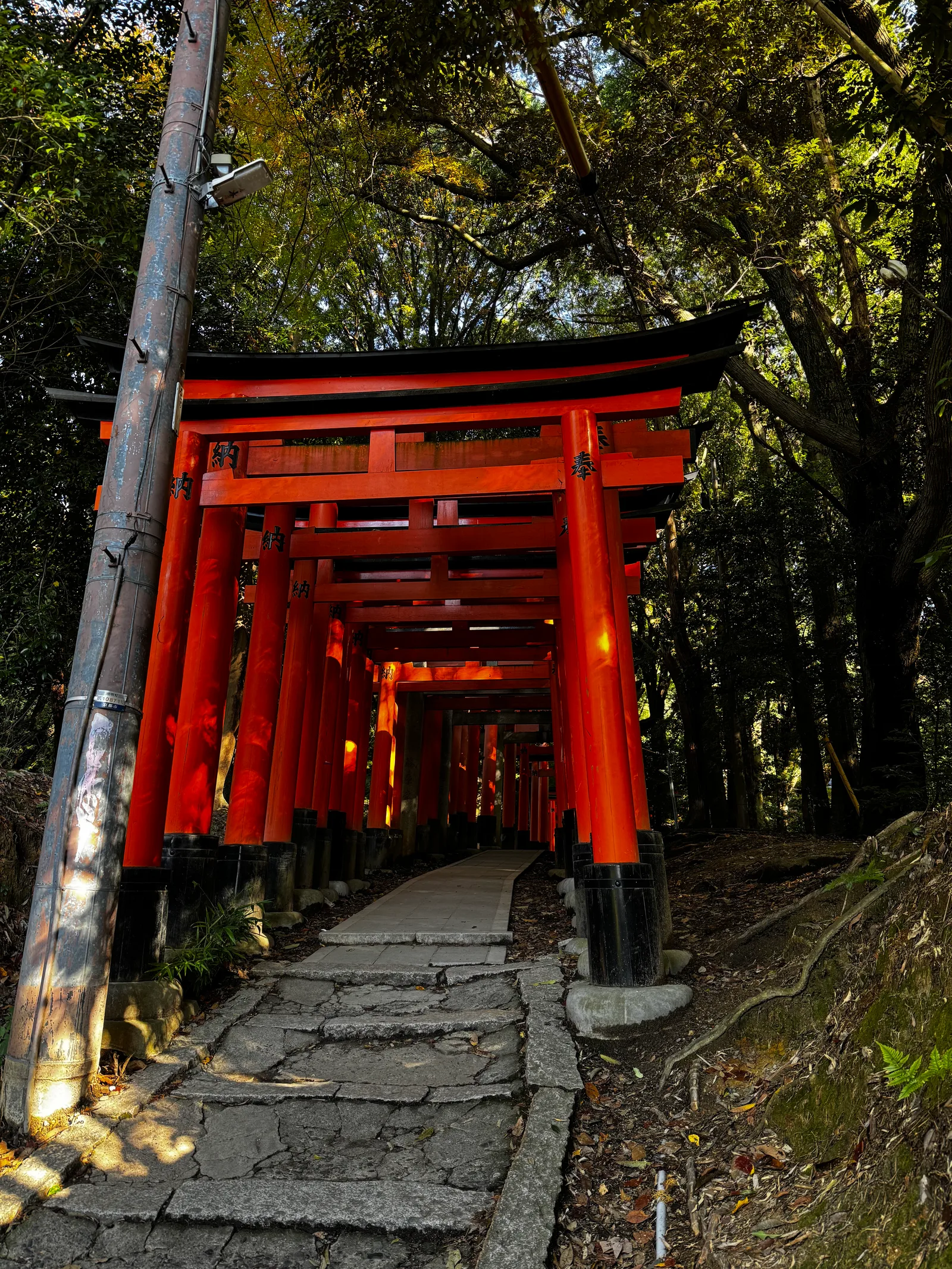 Kyoto, Japan — 27 November 2024