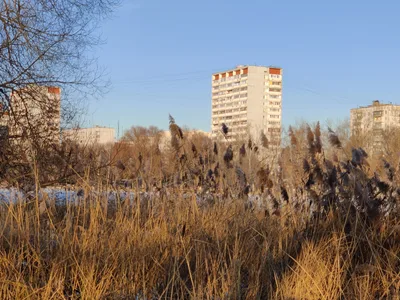 Golovinskiy, Russia — 6 December 2020