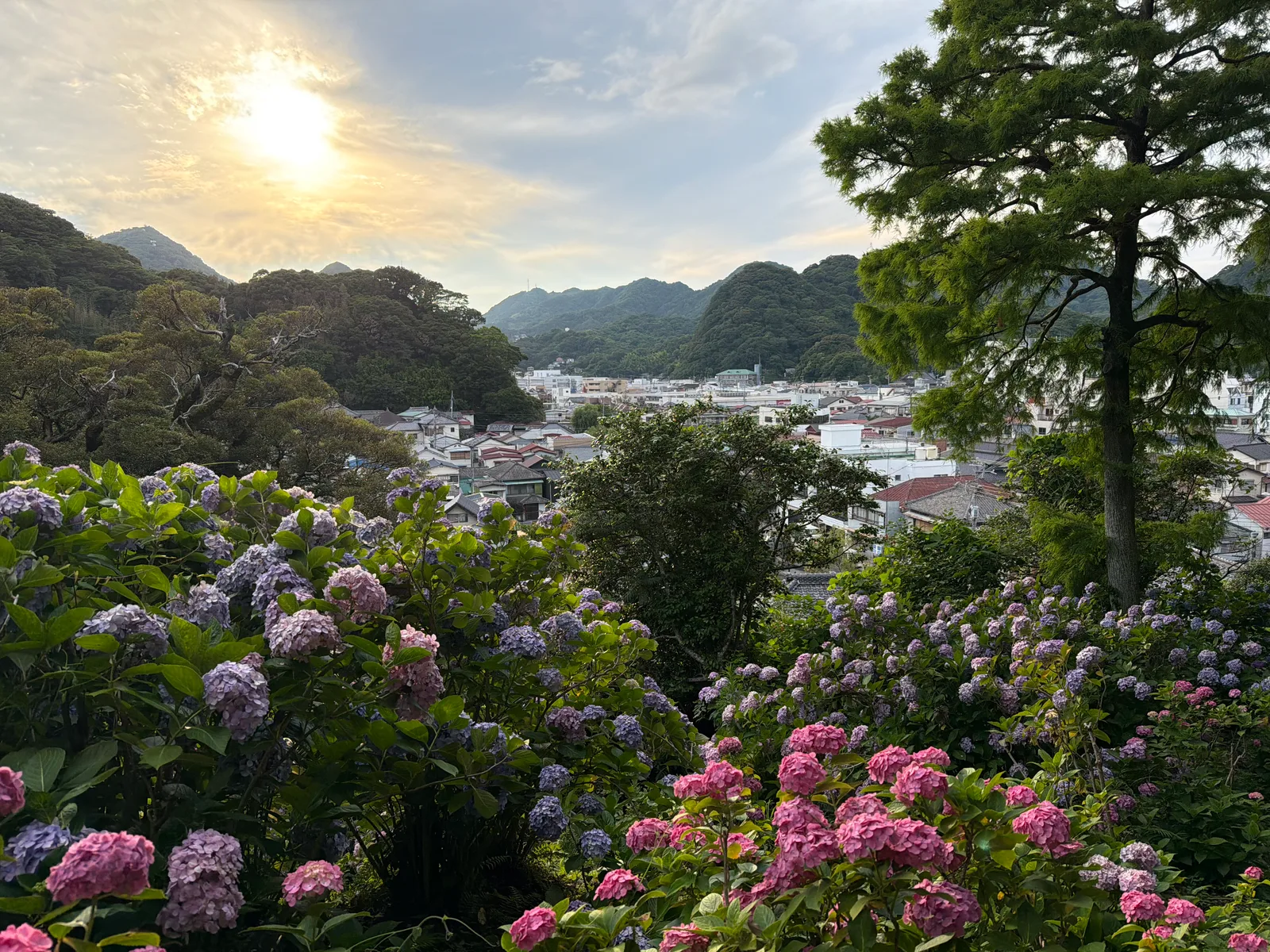 Shimoda, Japan — 19 June 2026