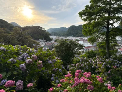 Shimoda, Japan — 19 June 2026