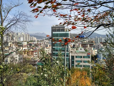 Seoul, South Korea — 27 October 2016