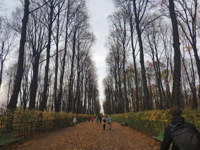 Saint Petersburg, Russia — 20 October 2018