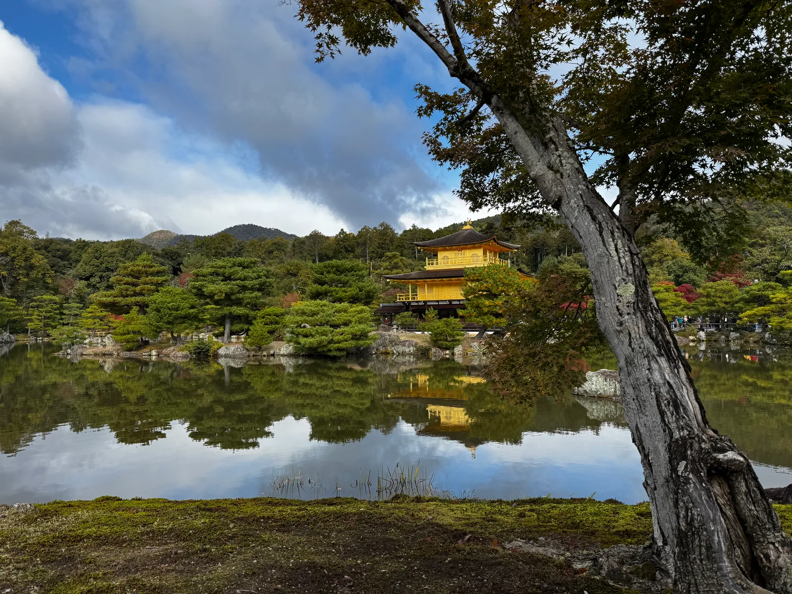 Kamigyō-ku, Japan — 24 November 2024