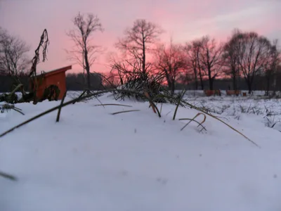 Photo from 5 December 2010