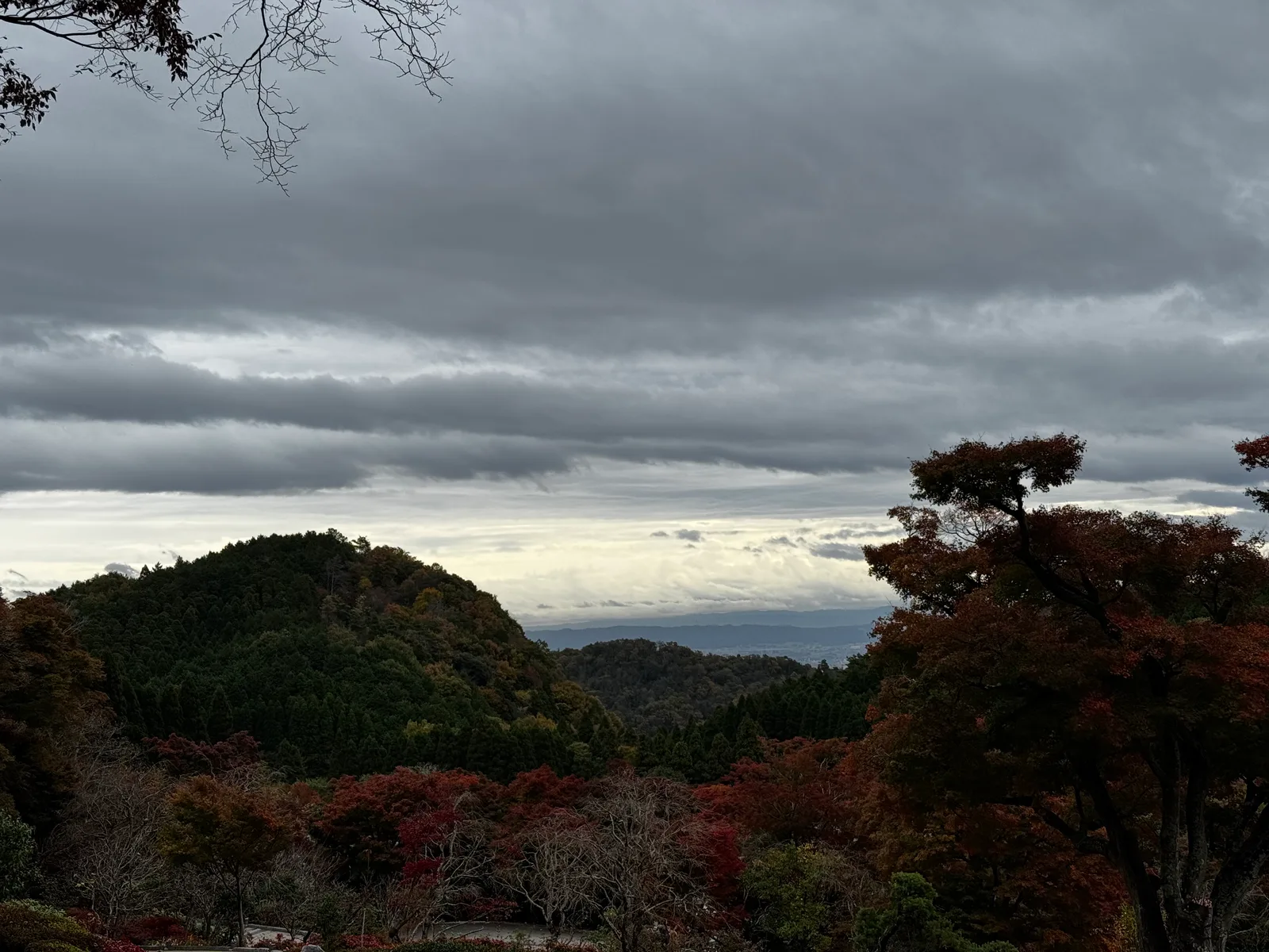 Minoh, Japan — 26 November 2024