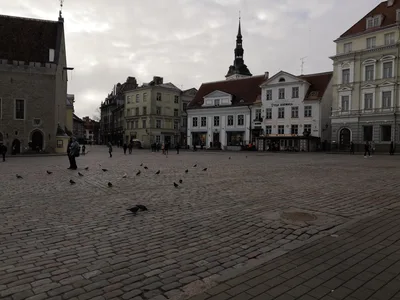 Tallinn, Estonia — 5 November 2018