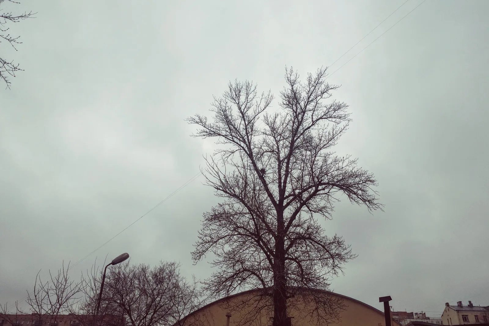 Photo from 7 April 2016