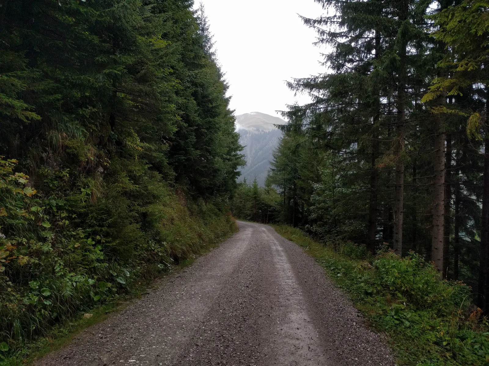 Photo from 17 September 2017