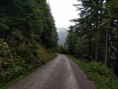 Photo from 17 September 2017