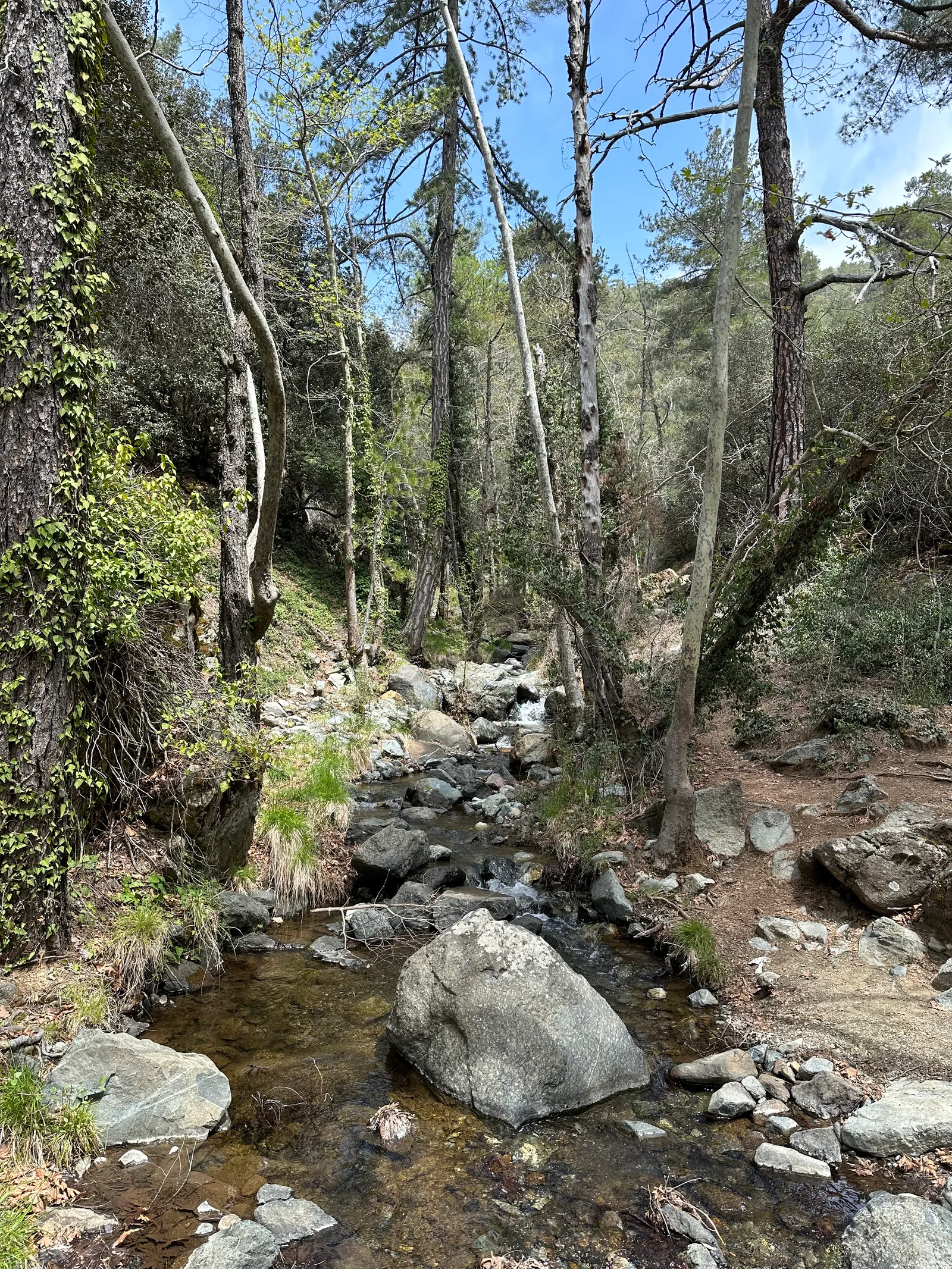 Tróodos, Cyprus — 5 May 2023